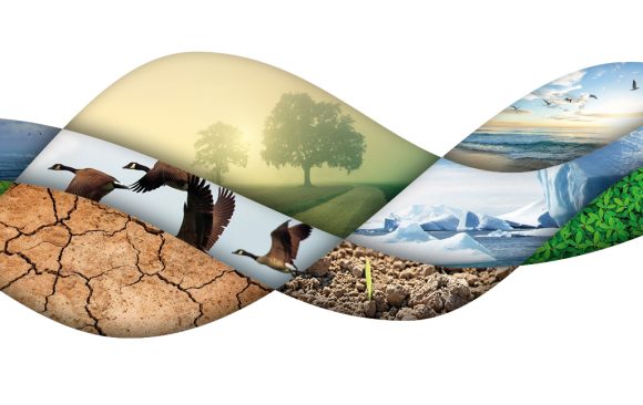 ‘10 Must-Knows’ as guide for preserving biodiversity  