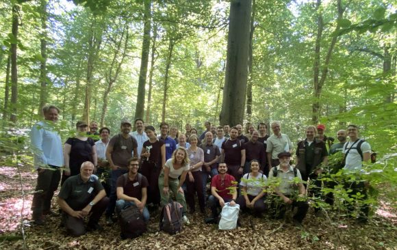 Improving forest resilience and enhancing biodiversity in European Forests:  findings, experiences, and prospects