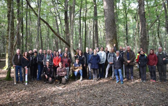 Exploring the forests of Luxembourg during the 9th Annual Meeting of the Integrate Network: A Journey about Forest Resilience- and Conservation