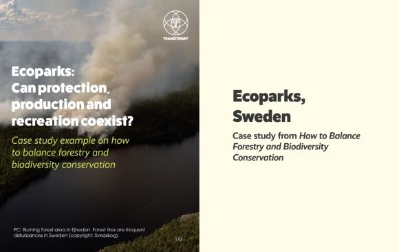 Ecoparks 1 Ecoparks: Can protection, production and recreation coexist?