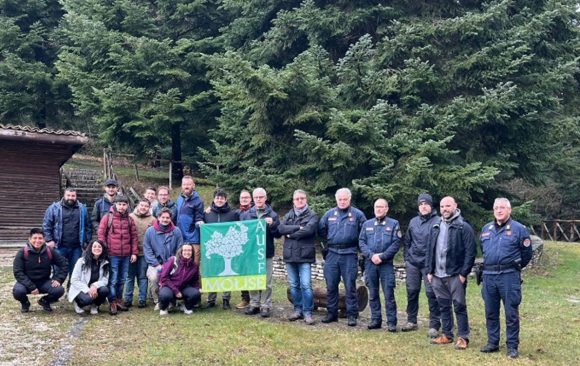 Discussions on Mediterranean mixed forest silvicultural scenarios: the Collemeluccio Marteloscope