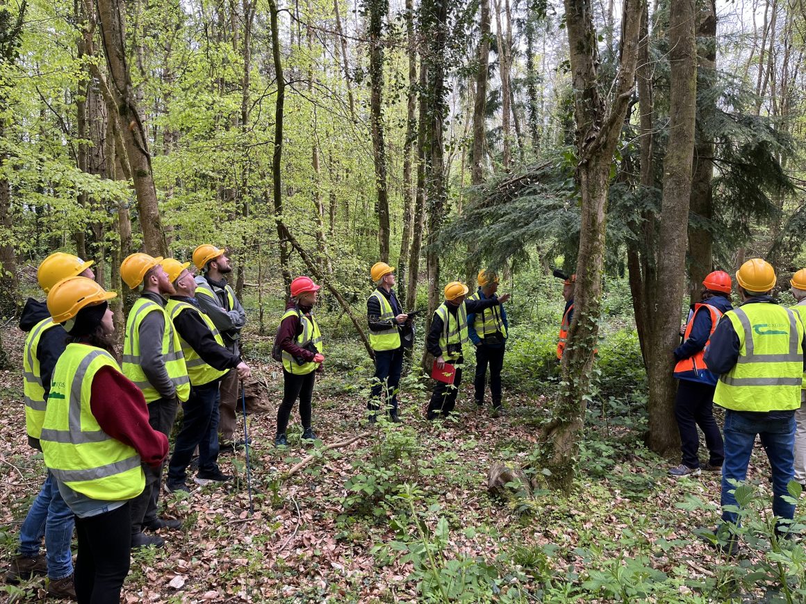 Outdoor Forest training is back: Join the two-day workshop in Ireland