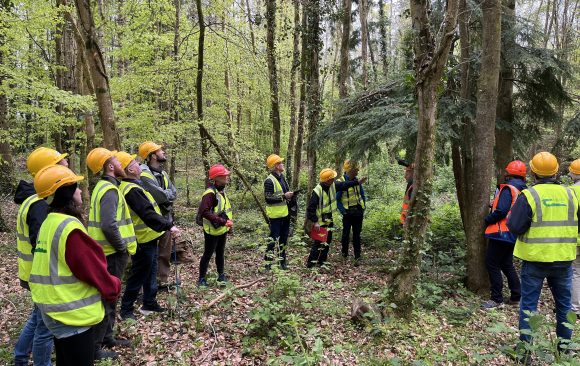 IMG_0149 - Copy - Copy Outdoor Forest training is back: Join the two-day workshop in Ireland