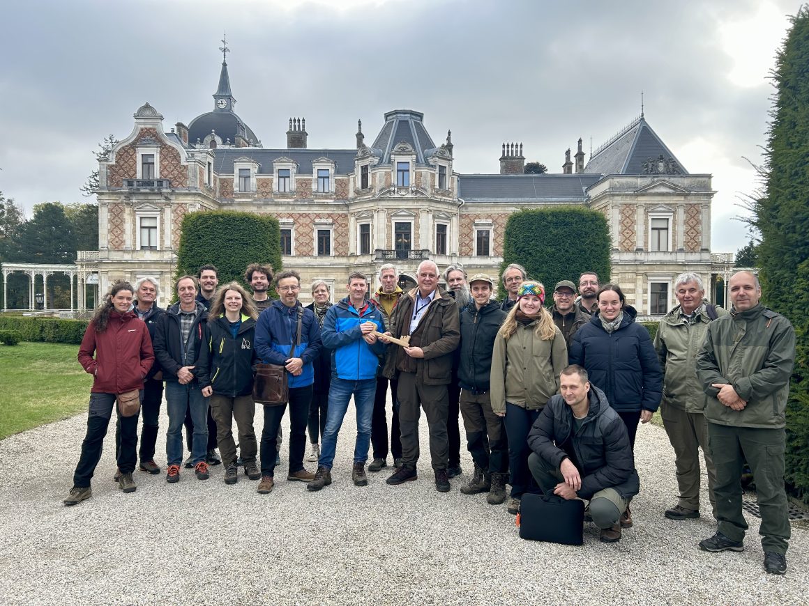 Not just trees growing here: How the Integrate Network cultivates cooperation