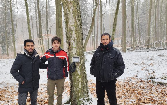 Monitoring Tree Growth with Dendrometers: A Hands-on Experience in Haselberg