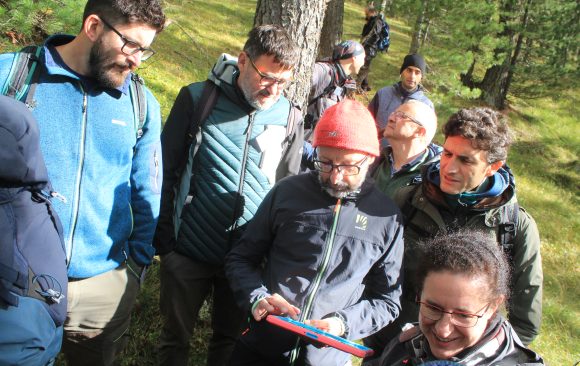 Virtual tree marking in Italy