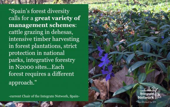 Commitments towards Sustainable Forest Management