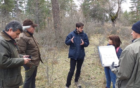 “Dehesa de Valsalobre” Marteloscope: getting ready for its inauguration