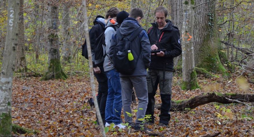 Mooswald3 Interactive learning experience for students in the “Mooswald” Marteloscope in Freiburg