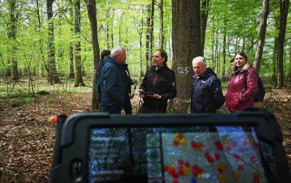 Connecting nature conservation and forest management