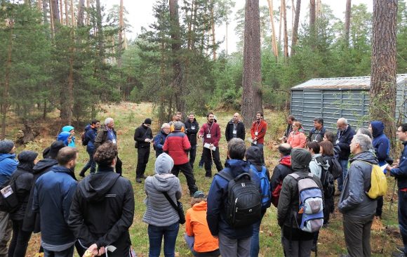 Practical marteloscope excercise at Monte de Valsaín (Spain)