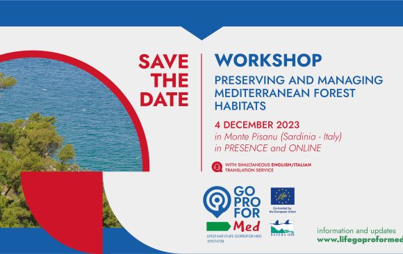 Registration open: Workshop on preserving and managing Mediterranean forest habitats