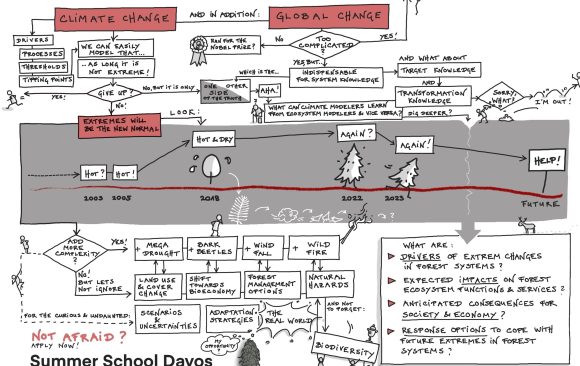Summer School 2024 – “Forests and Extremes: Crisis or Transition?”