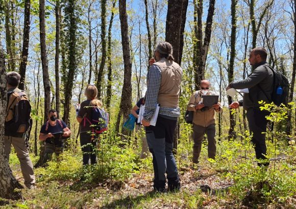 More than 200 forest stakeholders trained in Italian marteloscope